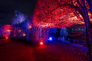 Parkleuchten im Grugapark